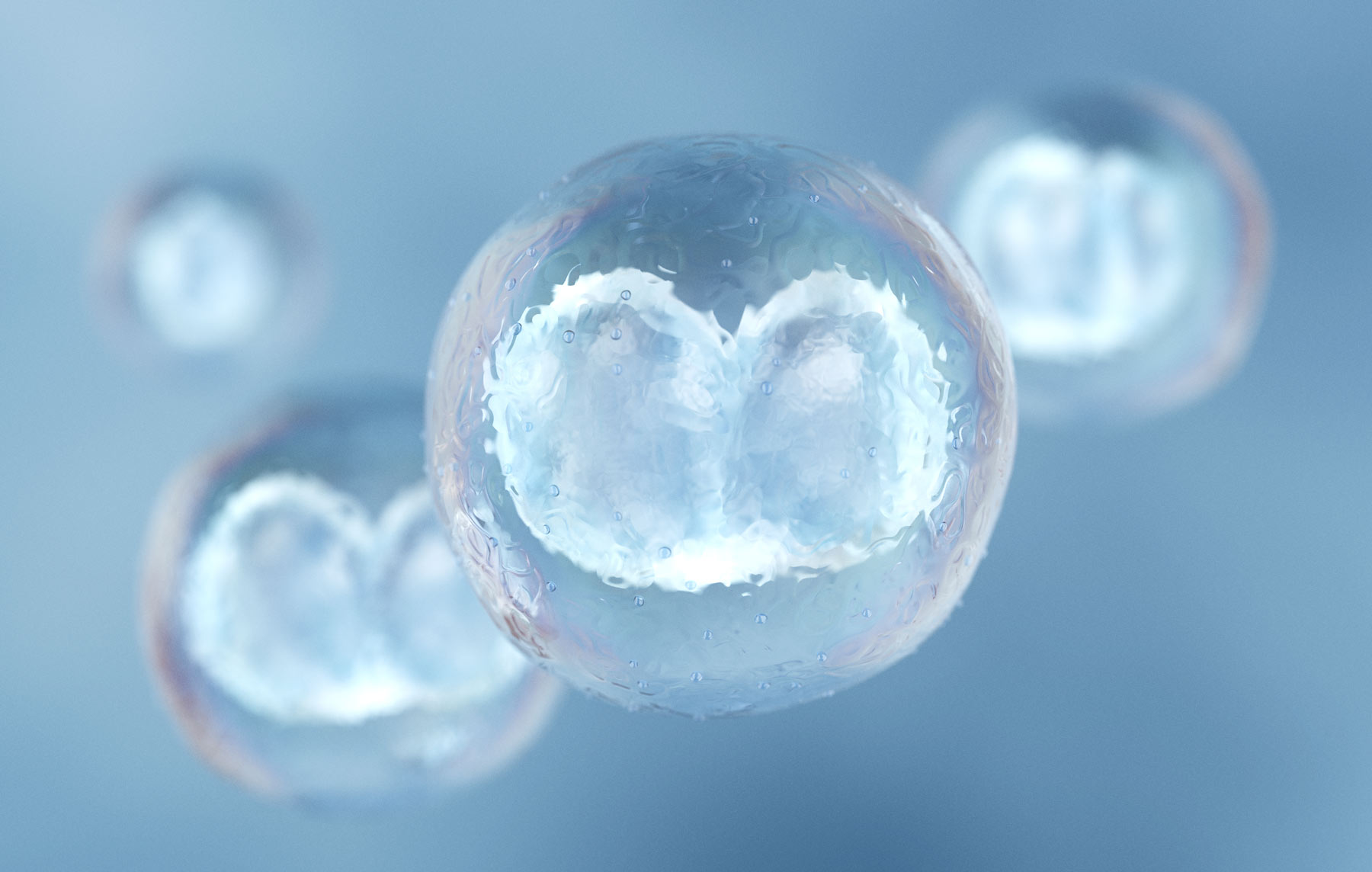 IVF ICSI Blastocyst Transfer ǀ The Fertility and Gynaecology Academy