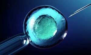 Genetic Testing And IVF: PGS And PGD