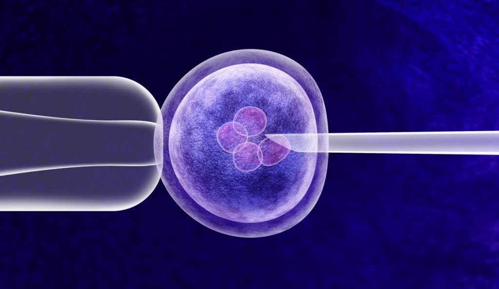 What’s The Difference Between IVF And ICSI?