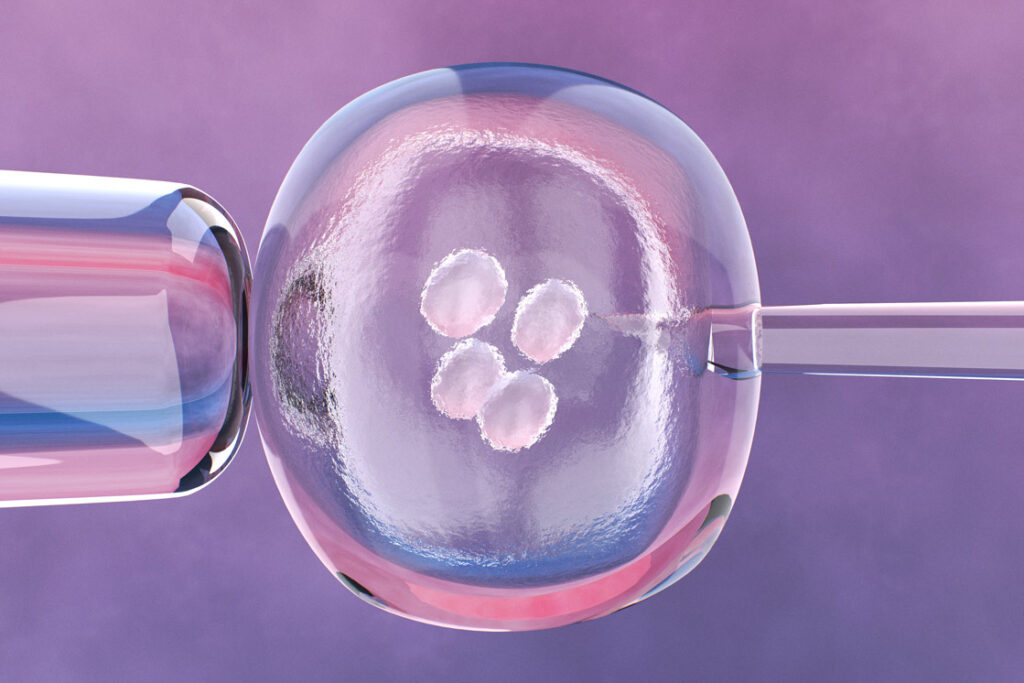 The IVF Process – A Step By Step Guide